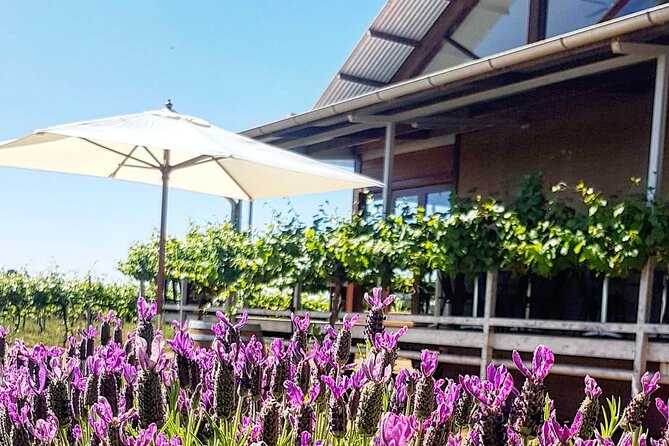 Yenda Cheese and Chill at the Yarran Cellar Door  – New South Wales