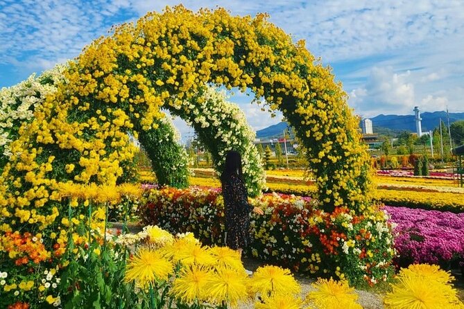 Yeoncheon Chrysanthemum Festival - Pyeongtaek Departure - Good To Know