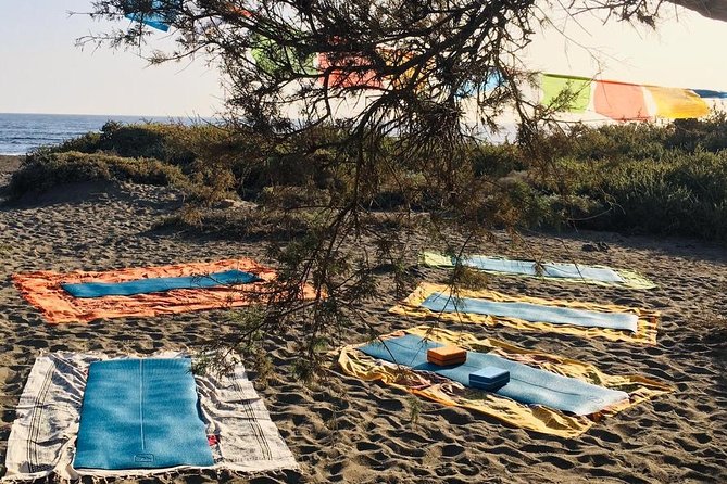Yoga at the Beach in Tenerife - Overview and Details