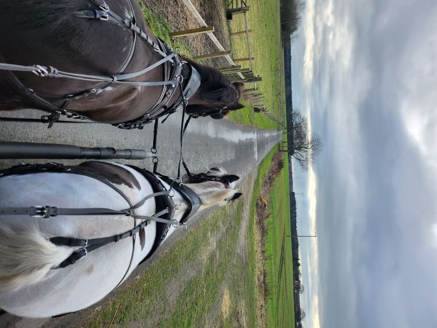 York: Horse Drawn Carriage Ride, Prosecco & Strawberries