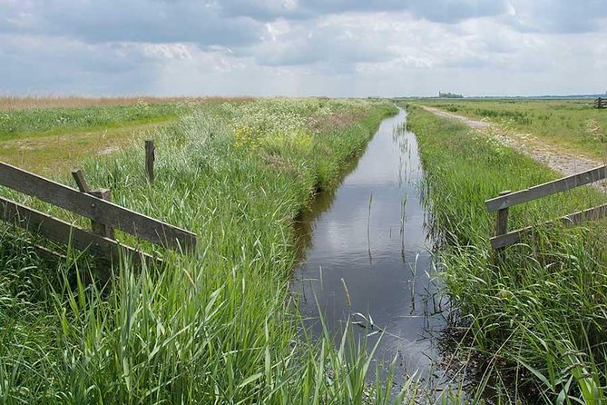 Zaanse Schans Windmills 1/2 Day Private Tour Private Guide Amsterdam - Additional Information for Participants