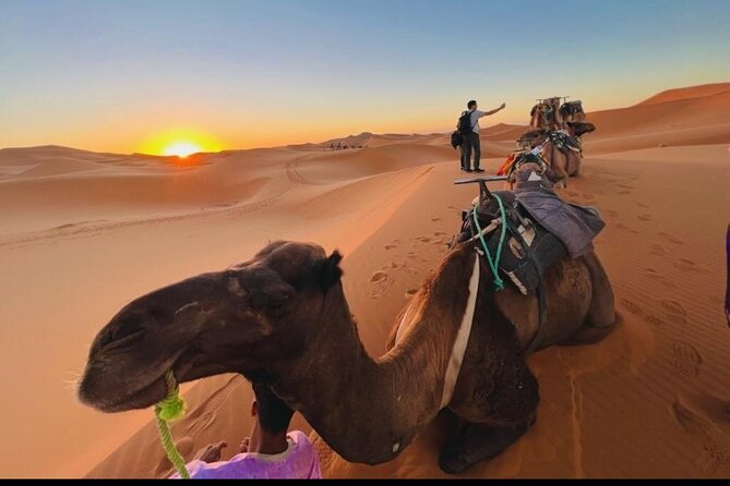 Zagora M'Hamid, 3 Days Tour to Erg Chigaga Desert From Marrakech - Itinerary Highlights