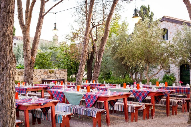 Zakynthos Greek Night Experience - Good To Know