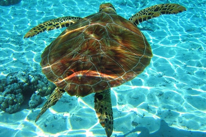 Zakynthos Marine Park With Turtles Spotting