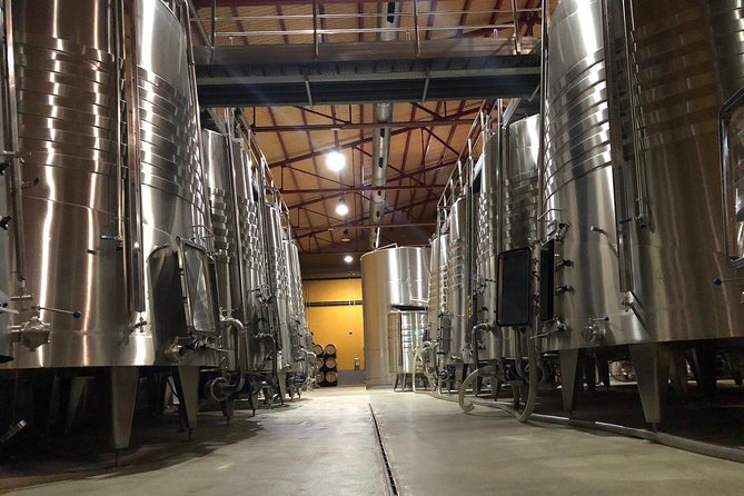 Zaragoza to Cariñena Wineries Full-Day Private Tour - Winery Visits
