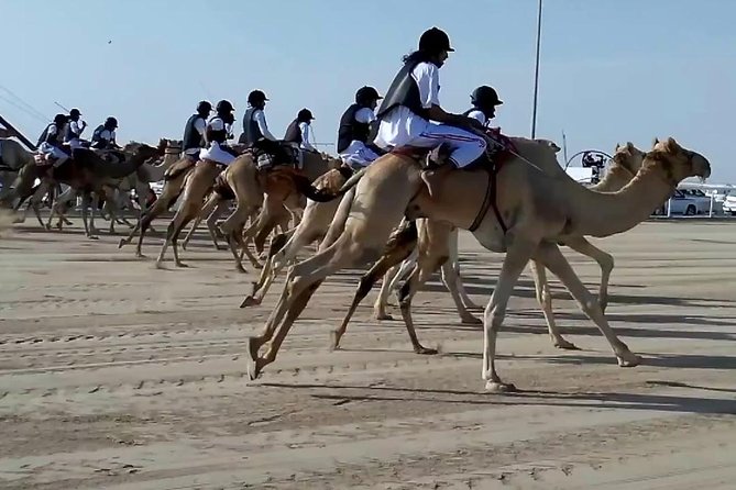 Zekreet Rock Formation, Richard Serra Tour & Camel Race Tour