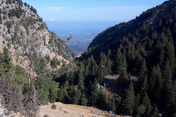 ZOURVA Totromarissa Adventure - Good To Know