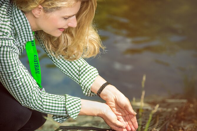 Zurich Foxtrail Aristotle - Good To Know