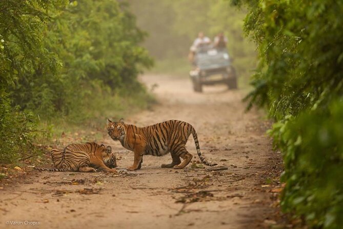 05 Days - Private Luxury Golden Triangle Tour With Ranthambore - Good To Know