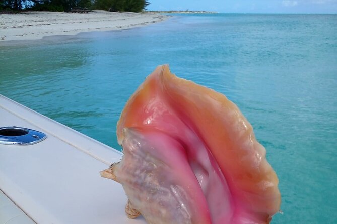 1/2 Day Afternoon Charter Fish Snorkel or Cruise on "Shady Grady" - Charter Options Available