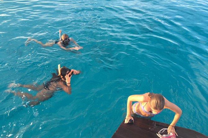 1/2 Day Morning Charter Fish, Snorkel or Cruise on "Shady Grady" - Good To Know