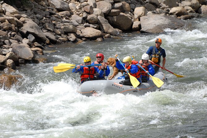 1-Day Arkansas River - Bighorn Sheep Canyon Trip - Good To Know