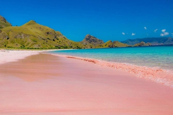 1 Day Komodo Trip by Private Fast Boat - Good To Know