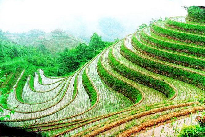 1-Day Longsheng Rice Terrace Tour From Guilin With Private Guide & Driver