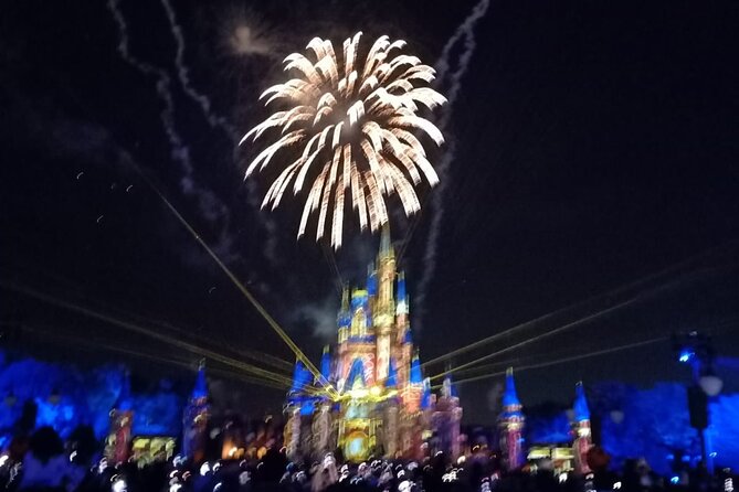 1 Day Private Advisor for Walt Disney World and Universal - Good To Know