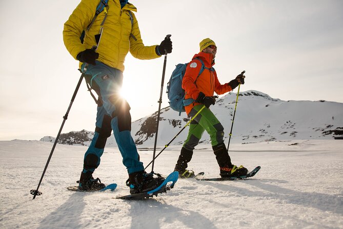 1 Day Snowcoach and Snowshoe Adventure in Jotunheimen