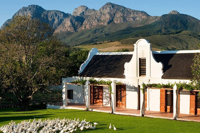 1 Day Tastes of Stellenbosch Wine Tour With Private Transfers - Good To Know