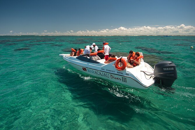 1-Day Tour to Maracajaú - From Natal (Optional Speedboat) - Good To Know