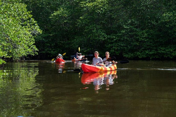 1 Hour Kayaking or Stand Up Paddle Adventure From Lembongan to The Mangrove