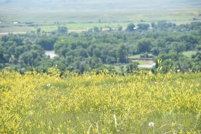 Best 1 Hour Tours and Experiences in Montana
