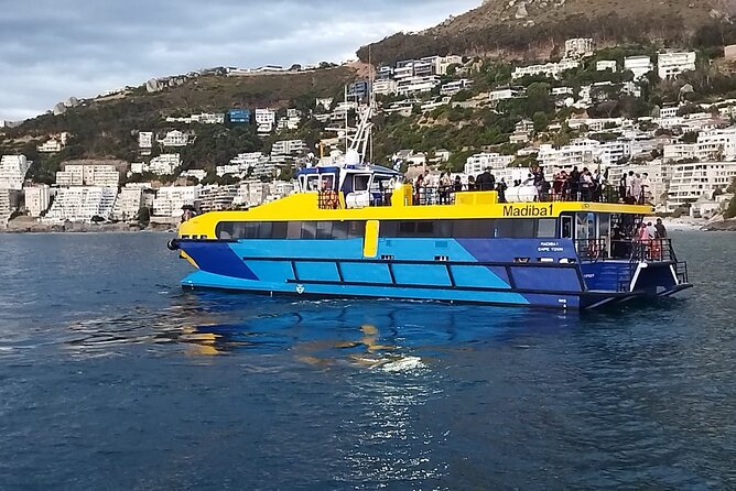 1 Hour Shared Boat Cruise in Cape Town Waterfront - Good To Know
