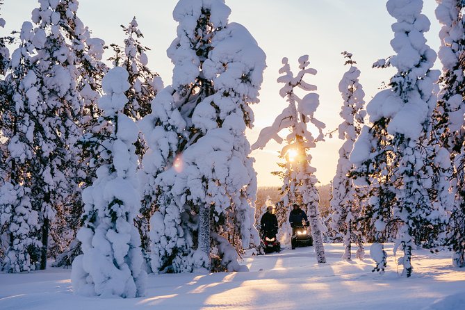 1-Hour Snowmobile Safari Experience - Overview and Whats Included