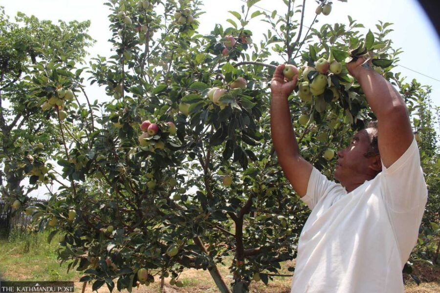 1 Month Permaculture and Sustainability Retreats in Chitwan - Good To Know