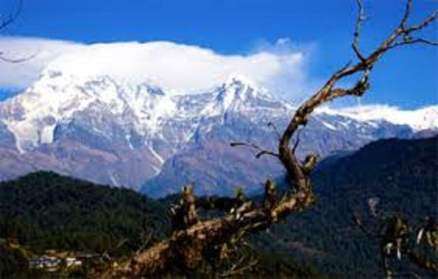1 Night 2 Days Camping Tour at Australian Camp (Trek)