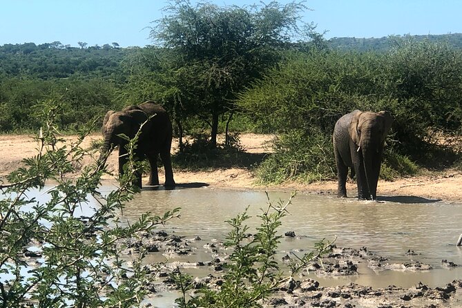 10-Day Tour to Kruger/Hluhluwe-iMfolozi & Everything In Between