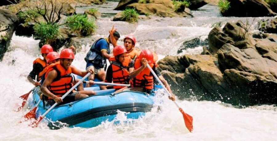 10-Days Discover Sri Lanka's Natural Beauty and Wildlife - Good To Know