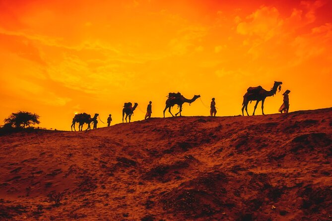 12 Day Classic Rajasthan Tour-Taj Mahal, Tigers, Lakes & Wildlife - Good To Know