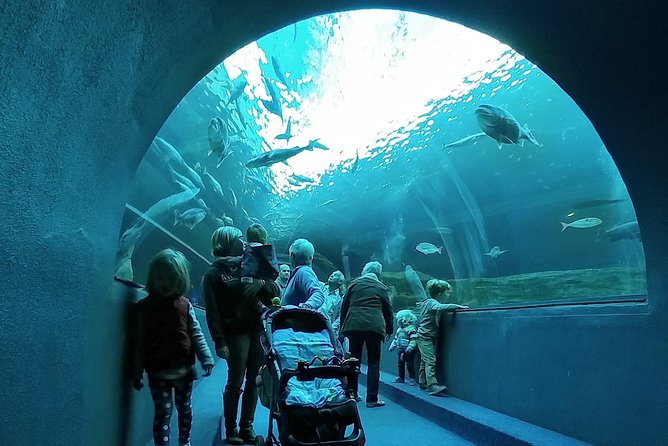 12 Day - Meander to South Africas Best Kept Secrets and Experience Lesotho - Good To Know