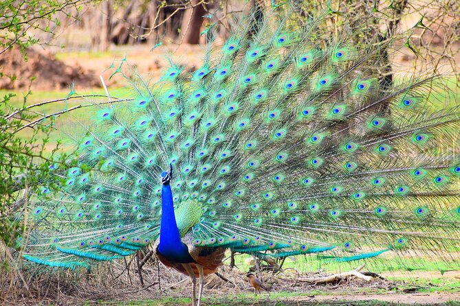 12-Days - Splendors of Golden Triangle & Rajasthan - Good To Know