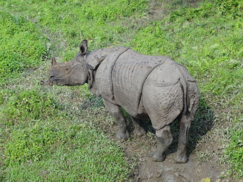 14-Day Annapurna Comfort Trek With Rafting and Jungle Safari - Good To Know