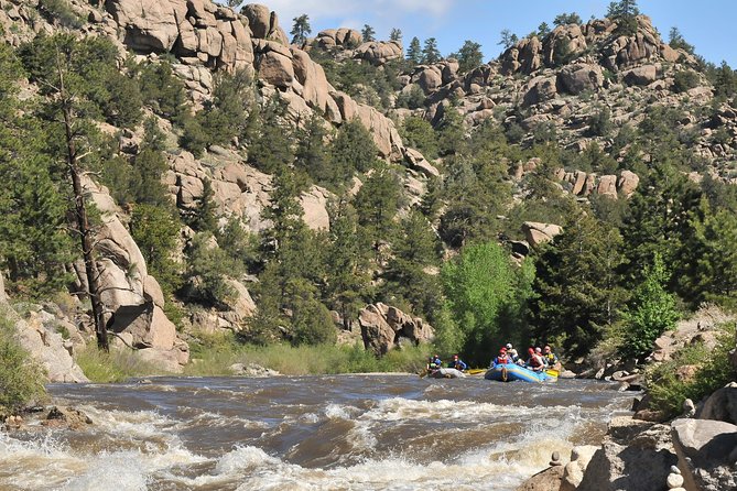 1-Day Arkansas River - Bighorn Sheep Canyon Trip - Trip Overview