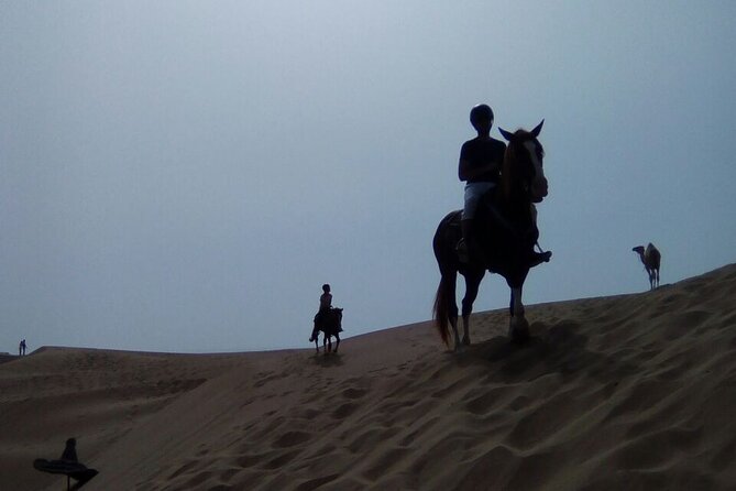 1 Day Horseback Ride With Lunch - What to Expect