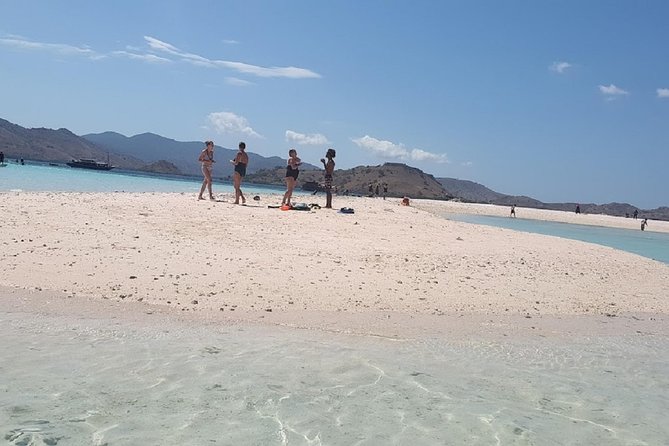 1- Day Komodo Island Tour Hopping Around by Speed Boat - Komodo National Park: A UNESCO World Heritage Site