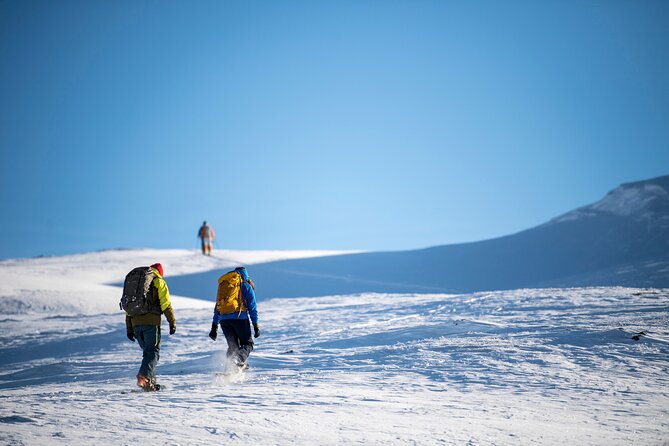 1 Day Snowcoach and Snowshoe Adventure in Jotunheimen - Snowcoach and Snowshoe Experience