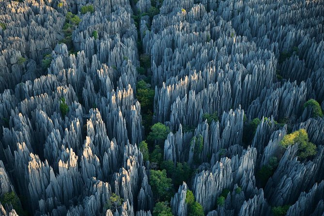1 Day Stone Forest & Jiuxiang Cave Tour - Tour Overview