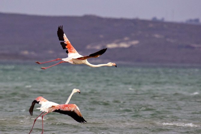 1 Day West Coast Wonders Tour With Private Transfers - Tour Itinerary and Inclusions