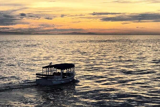 1 Hour and 30 Minutes Harbor Sightseeing Cruise From Destin - Overview and Operator Information