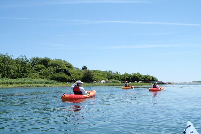1 Hour Guided SUP/Kayak Tour in Pelican Bay at Fort Myers Beach - Tour Pricing and Booking
