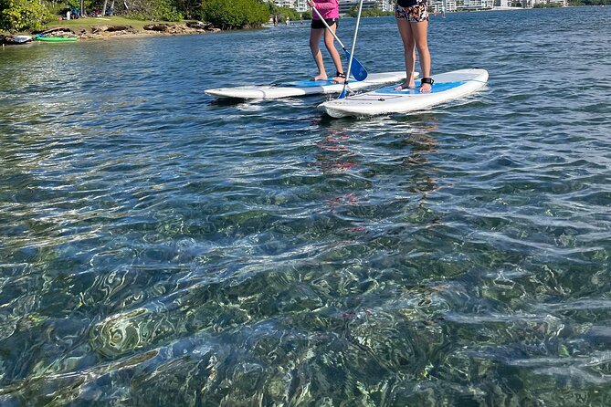 1-Hour Paddle Board in Condado Lagoon - Additional Information