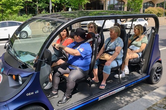 1 Hour Philadelphia Private Guided Tour by Deluxe Electric Car - Overview and Inclusions