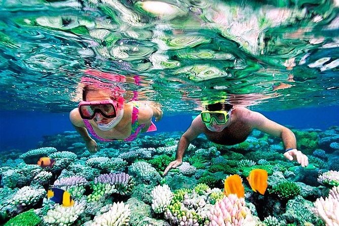 1 Hour Private Snorkeling Activity In Montego Bay - Booking Process and Requirements