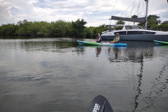 1-Hour Single Kayak Rental With Manatee & Dolphin Sightings - Experience Highlights