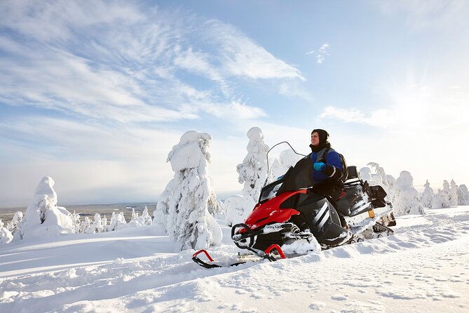 1-Hour Snowmobile Safari Adventure in Rovaniemi - What to Expect During the Snowmobile Safari