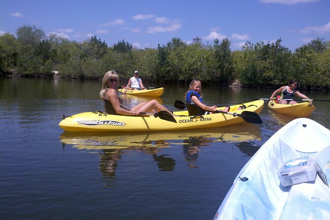 1-Hour Tandem Kayak Rental With Manatee & Dolphin Sightings - Inclusions