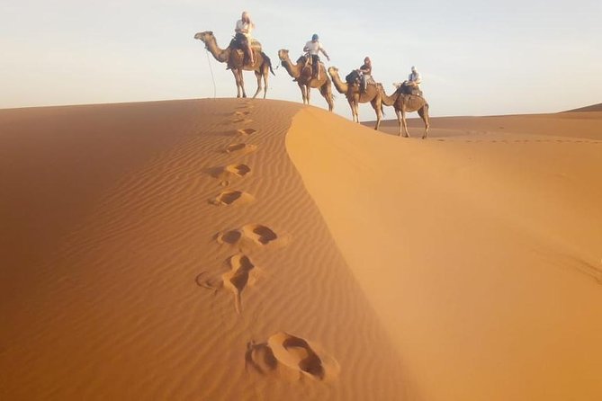 1 Night All Inclusive Camel Ride & Desert Camp - Overview of the Desert Camp Experience