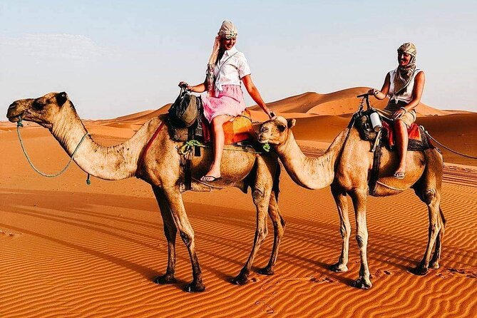 1 Night Camel Trekking in Desert Camp - Cancellation Policy
